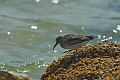 13 04 12_9341_edited-1